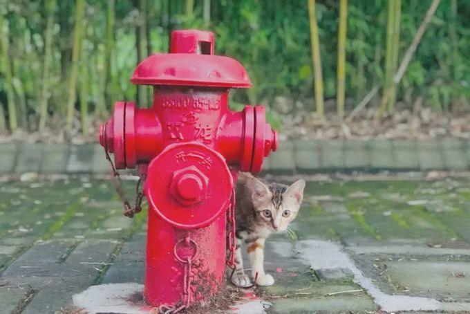 640 (1)_结果_1.jpg