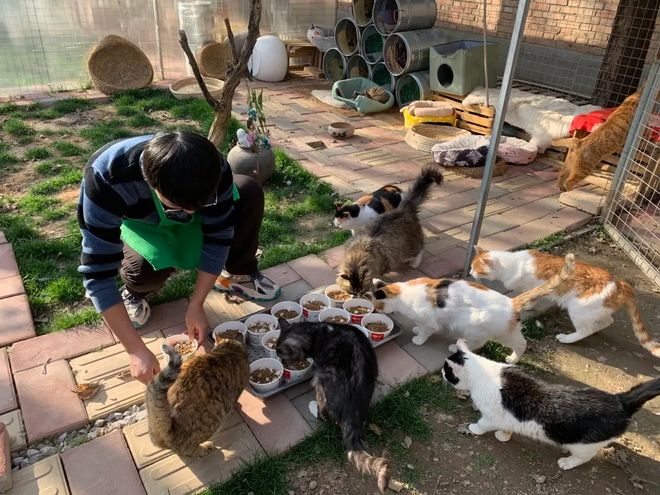 640 (3)_结果_1.jpg