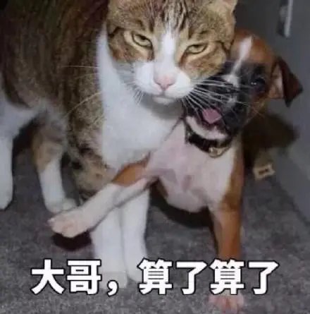 DM_20210816212007_002_结果.jpg