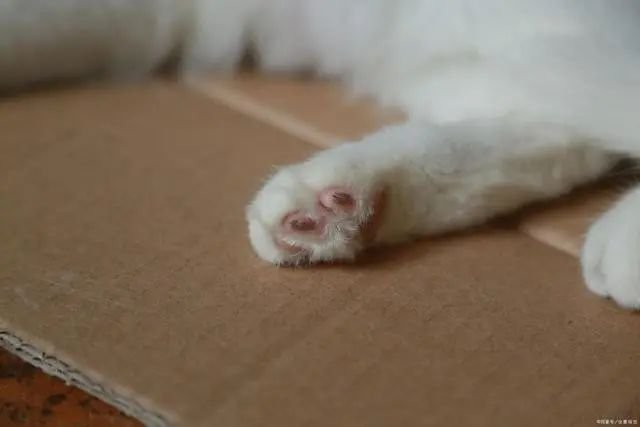 pic_002_结果.jpg