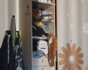 pic_016.gif