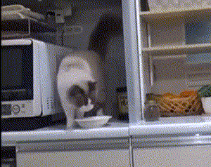 pic_005.gif