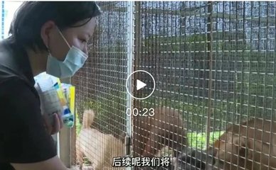 暖心！这群“毛孩子”吃上高端零食啦！但仍然需要......