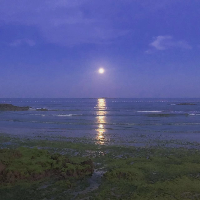 DM_20220310223553_005_结果.png