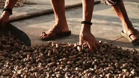 #2025少年行夏令营·汀塘站微记录