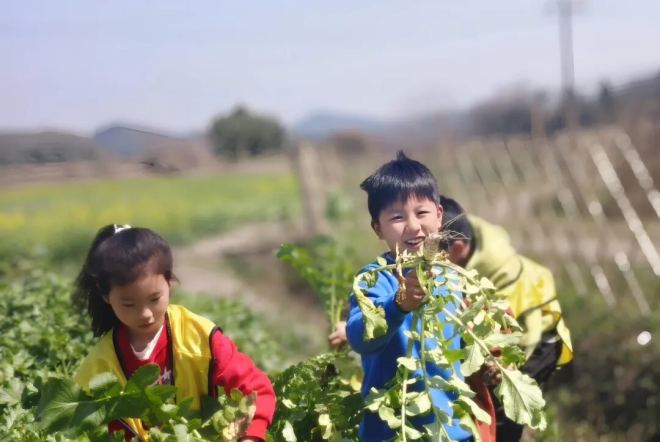 春天的74场活动——“小大师微光公益伴学...